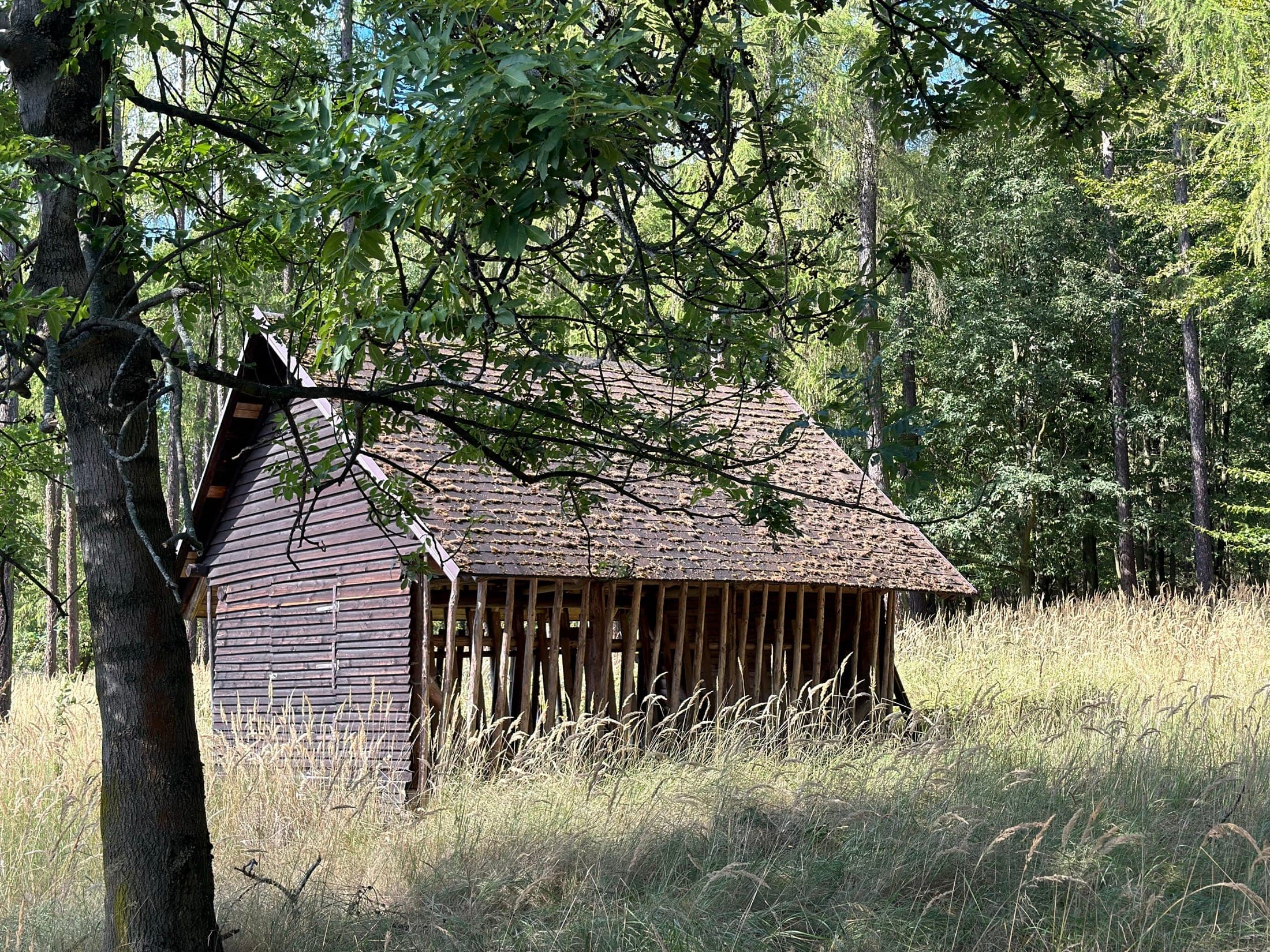Otevřený krmelec na louce