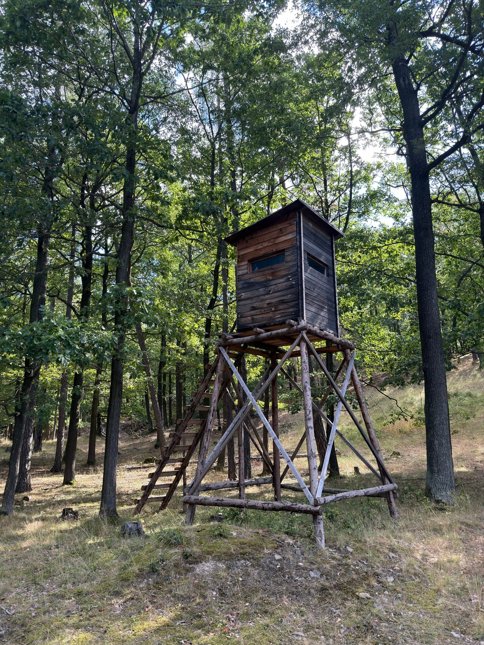 Posed na dřevěné konstrukci